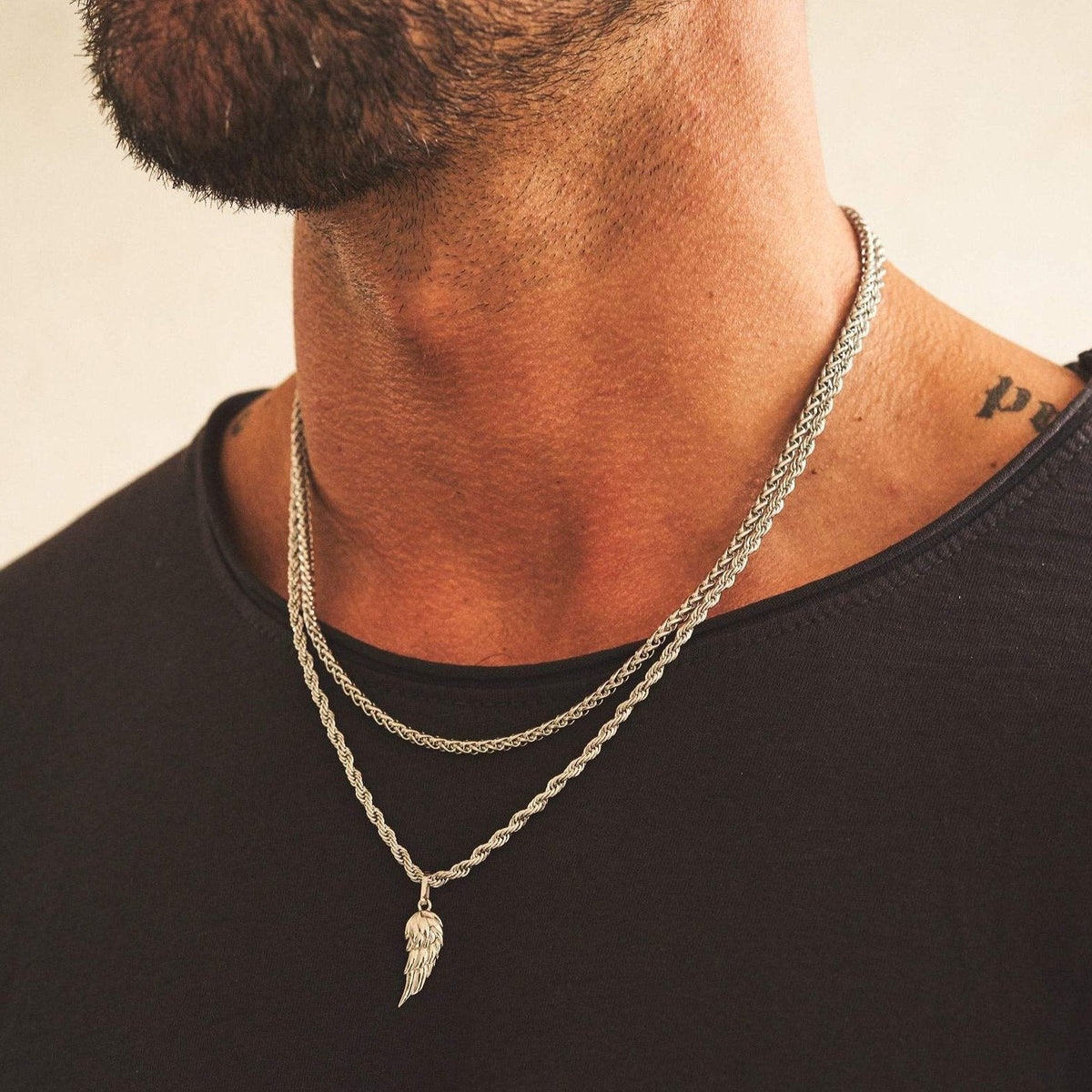 Conjunto de alas (Plata)