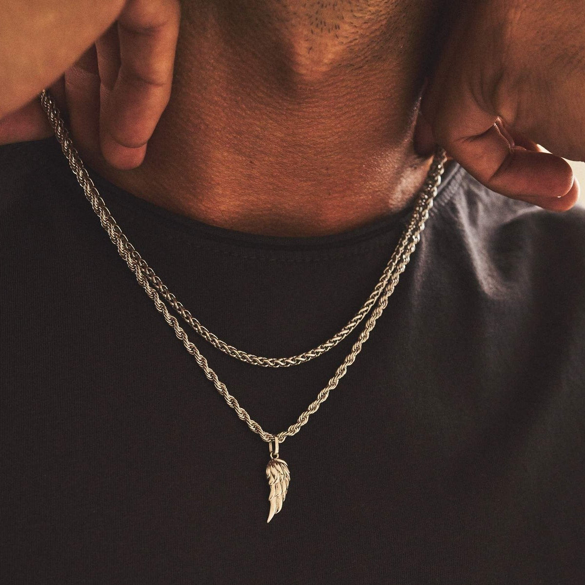 Conjunto de alas (Plata)
