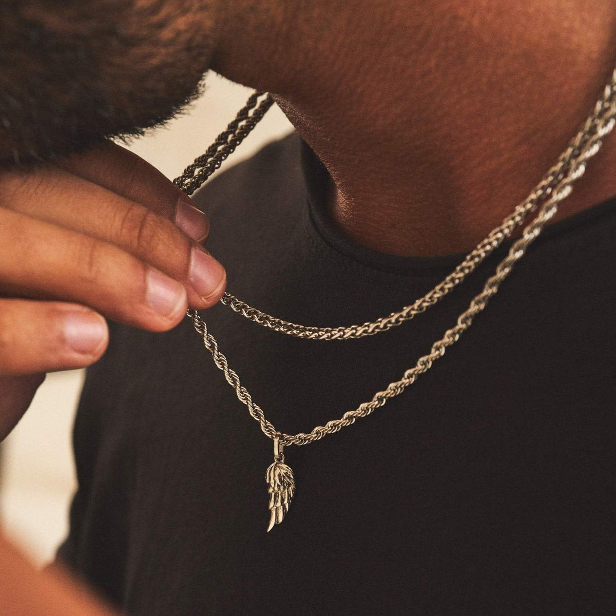 Conjunto de alas (Plata)