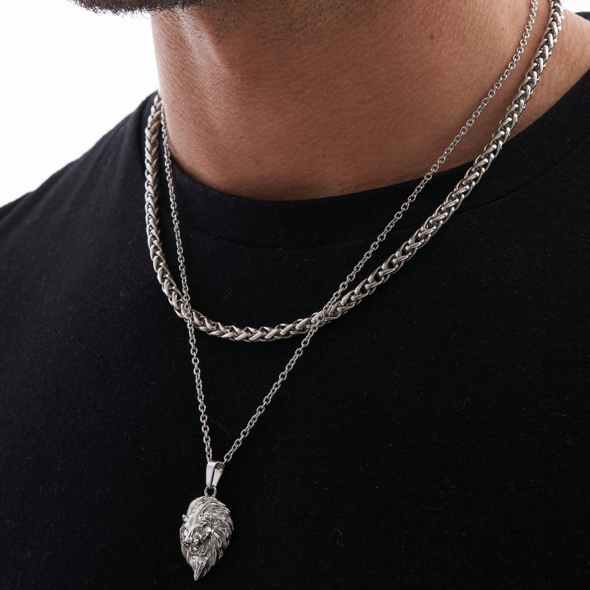 León (Plata)