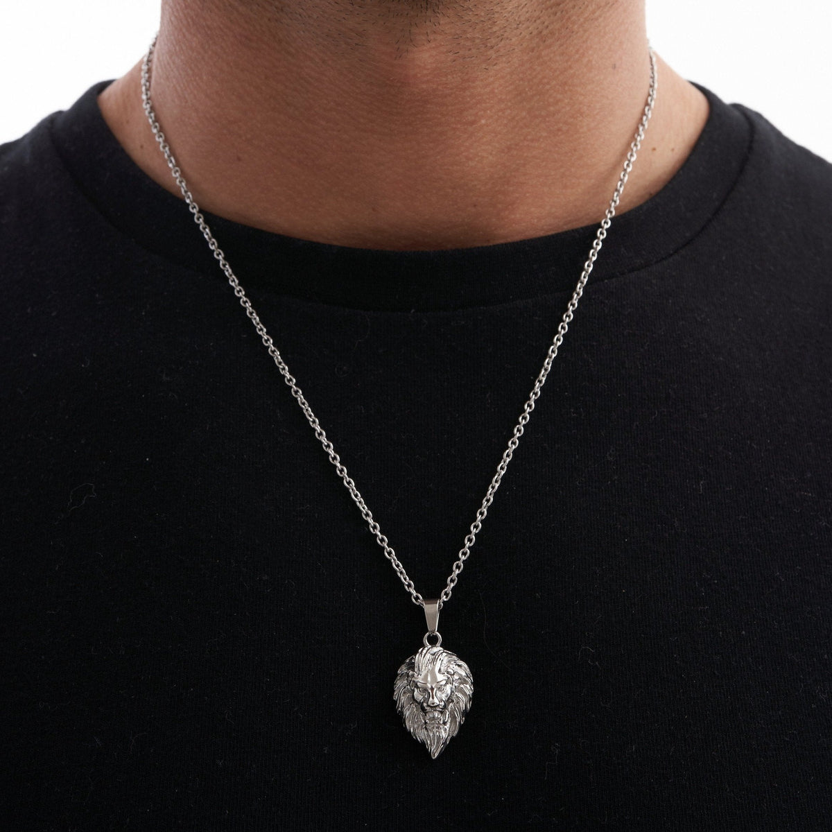 León (Plata)