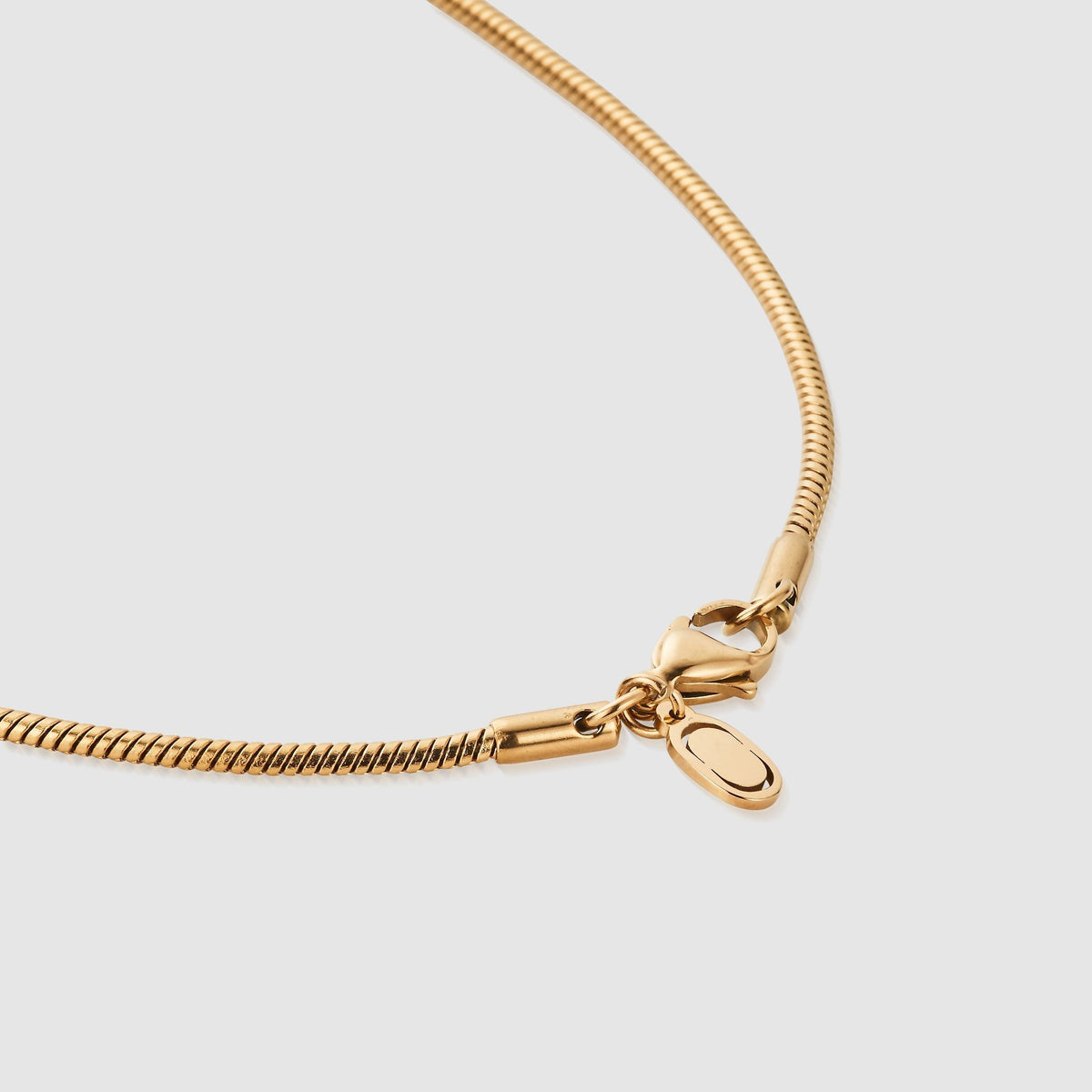 Cadena de Serpiente (Oro) 2mm