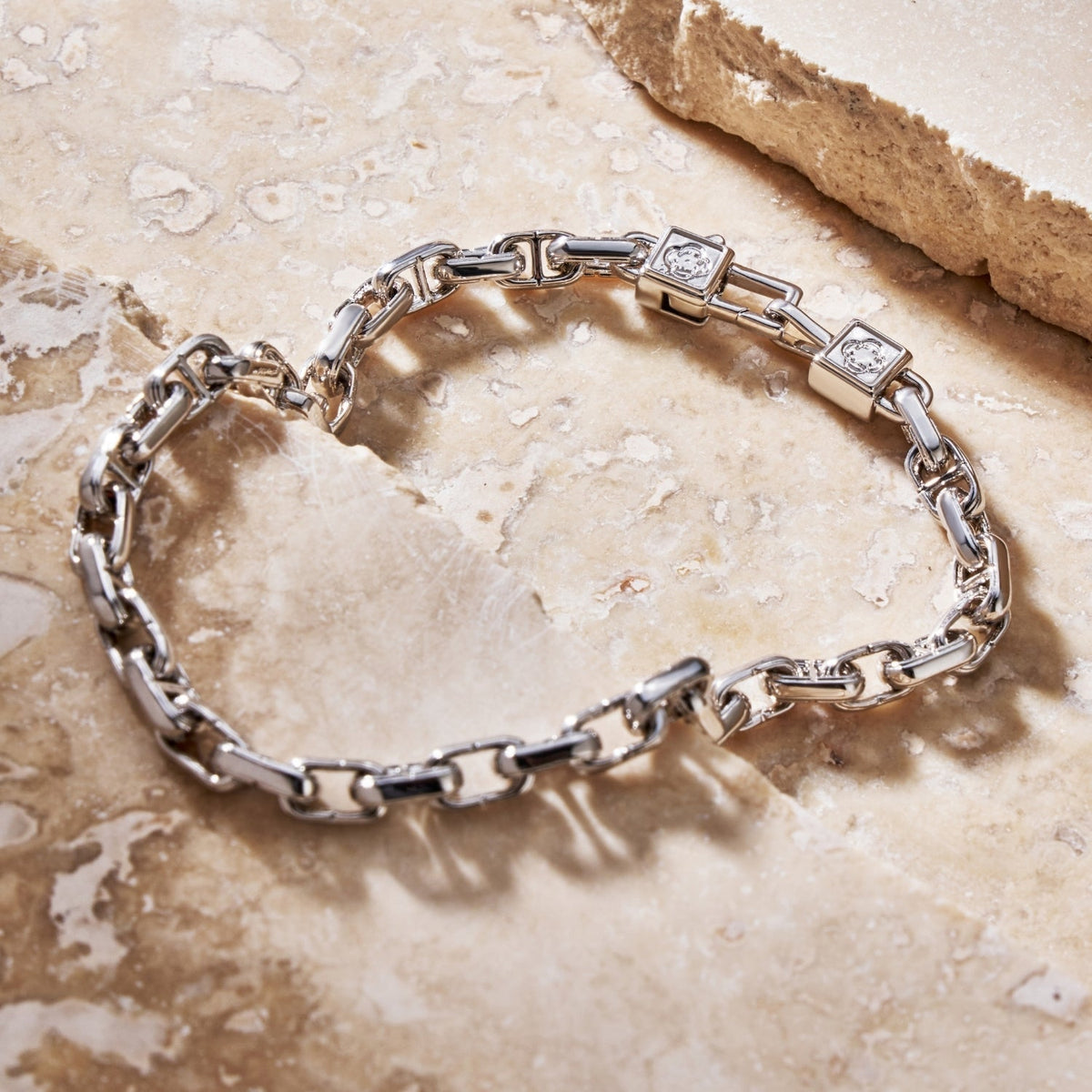 Pulsera de Enlace CD (Plata)