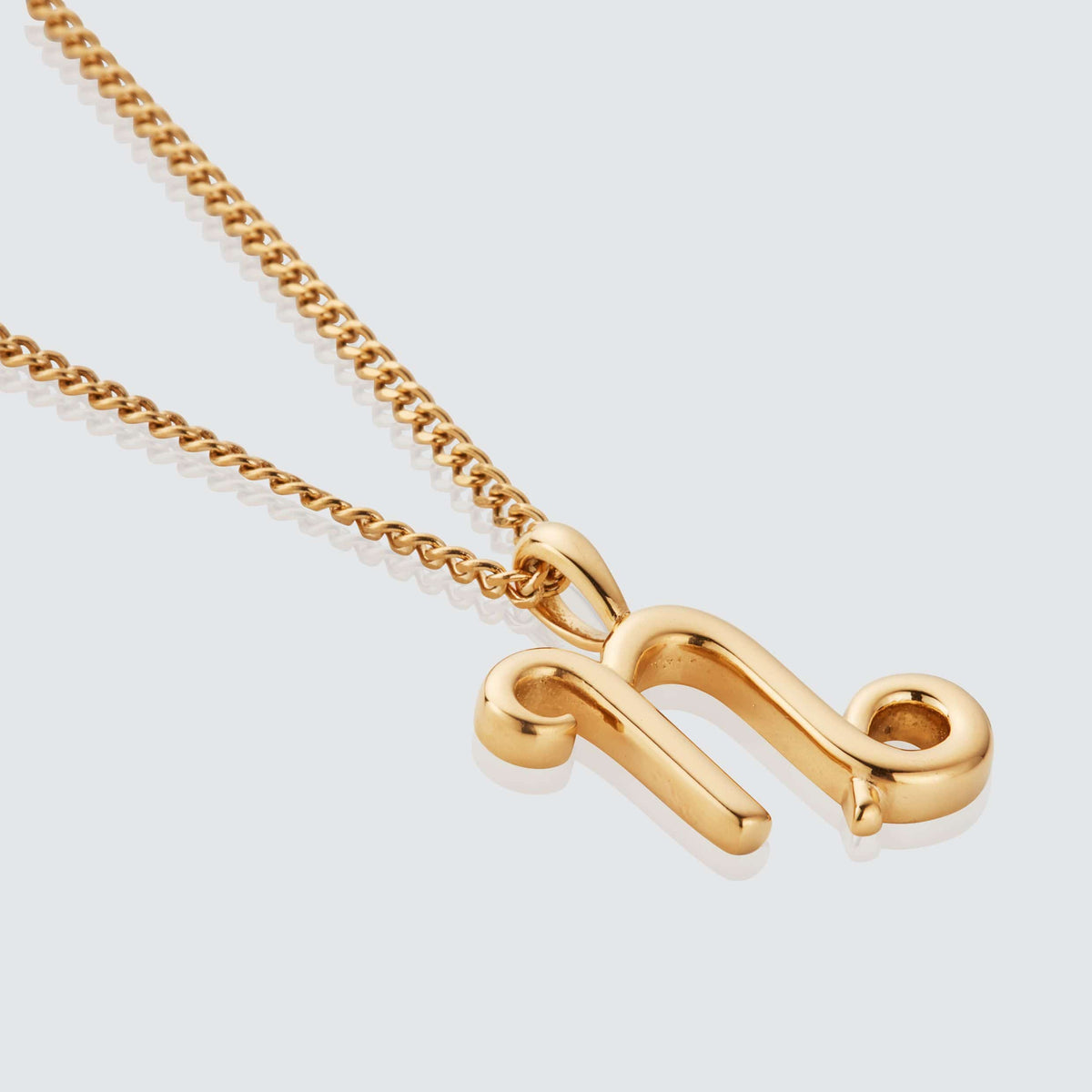 Capricornio (Oro)