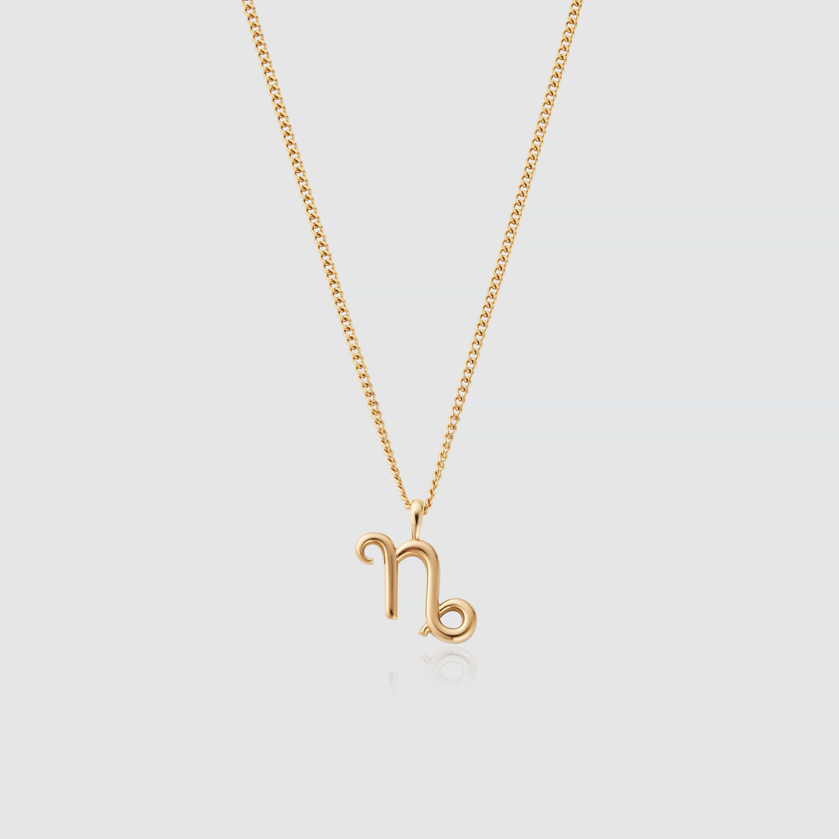 Capricornio (Oro)