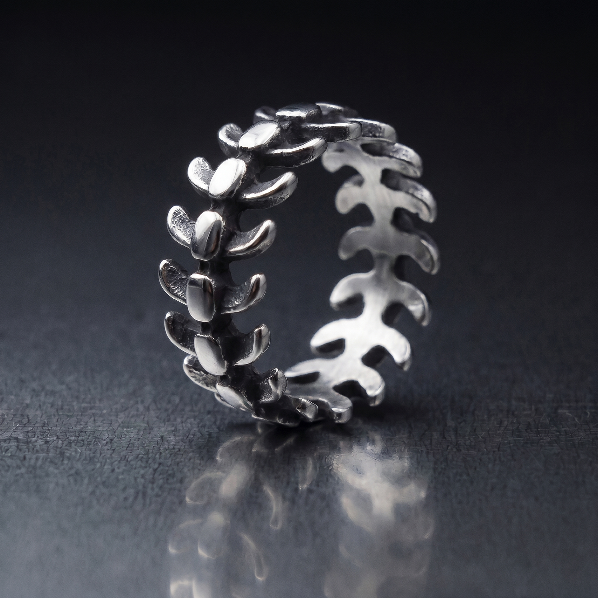 Anillo de vértebras