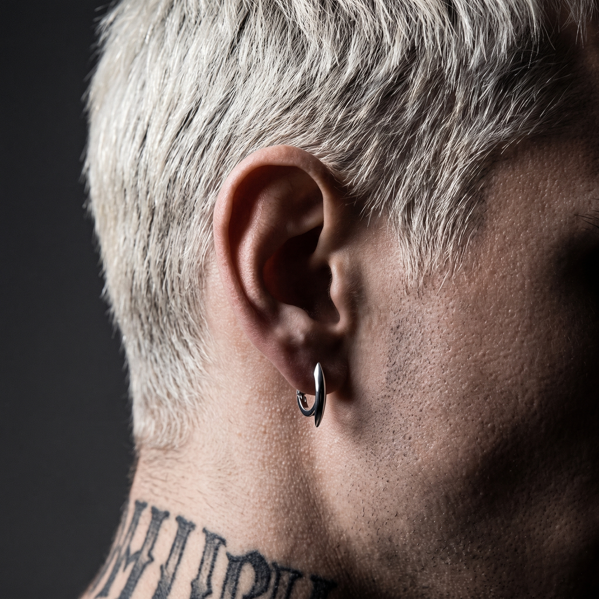 Pendientes de garra