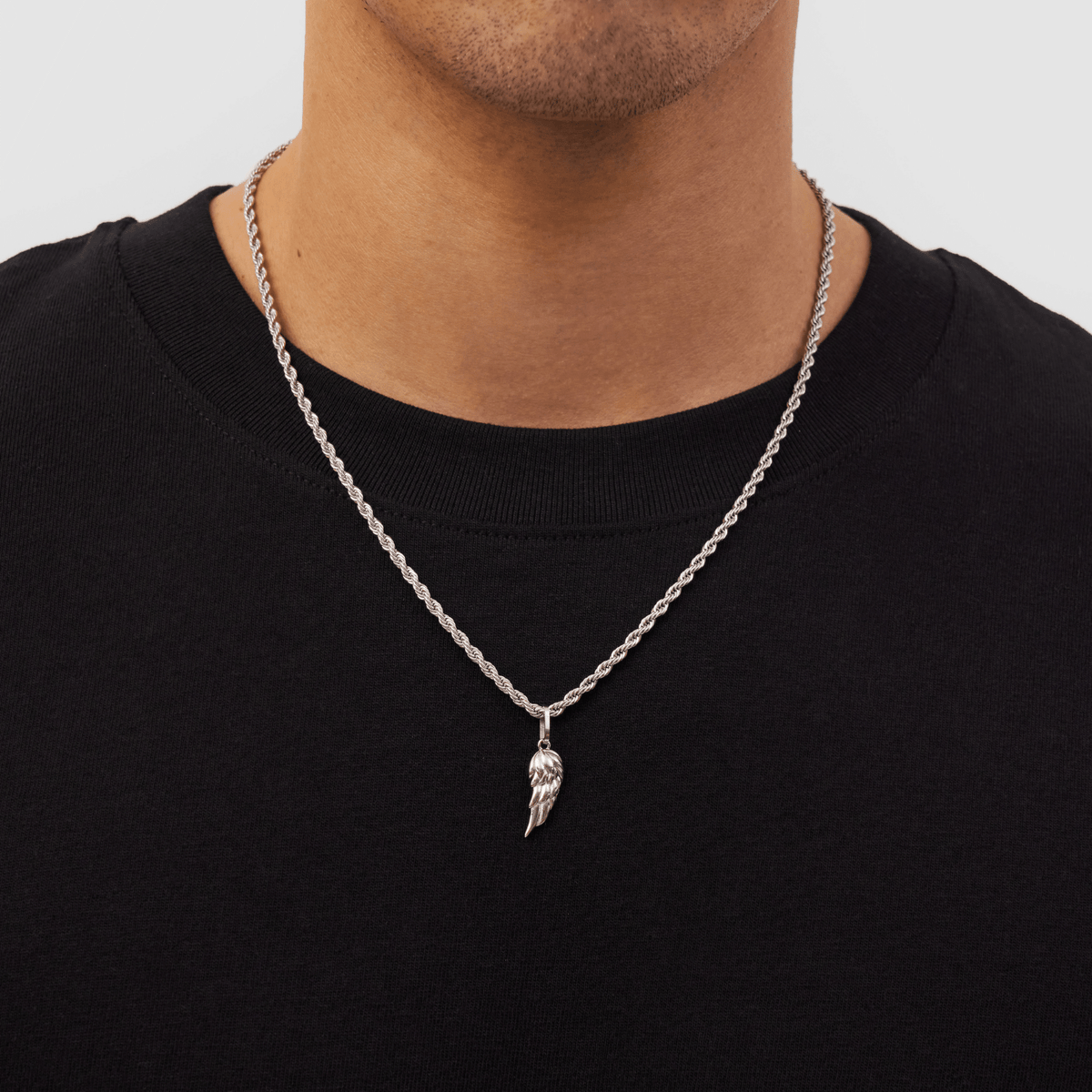 Ala (Plata)